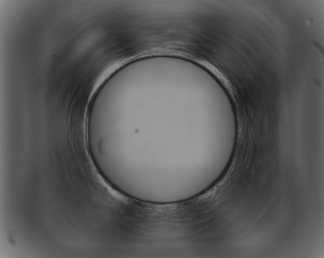 X0000093211294200709261418