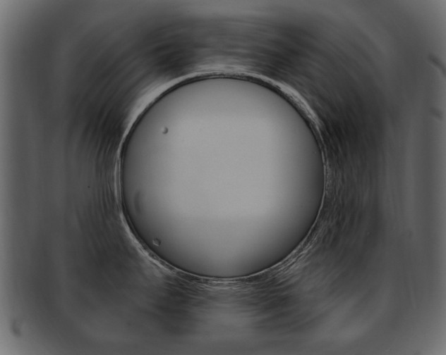 X0000093211295200709261418