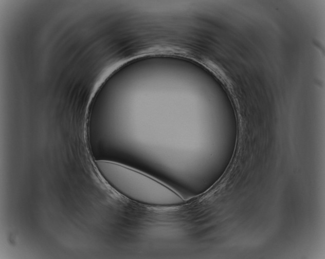 X0000093211296200709261418