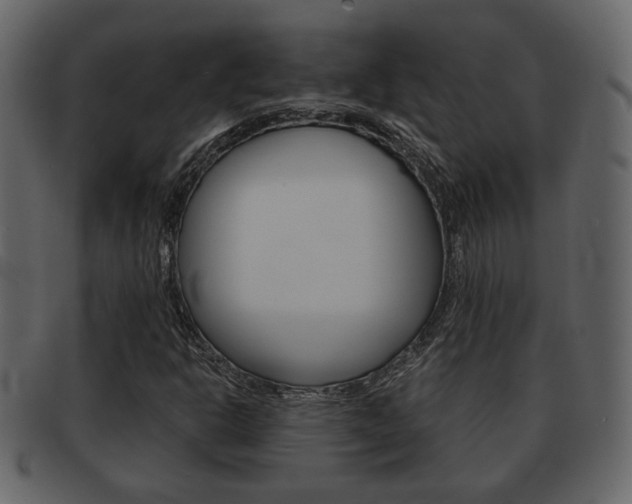 X0000093211302200709261418