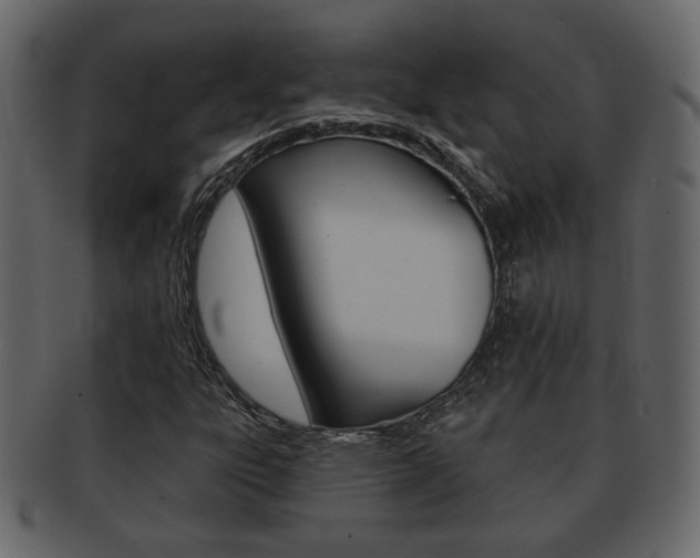 X0000093211303200709261418
