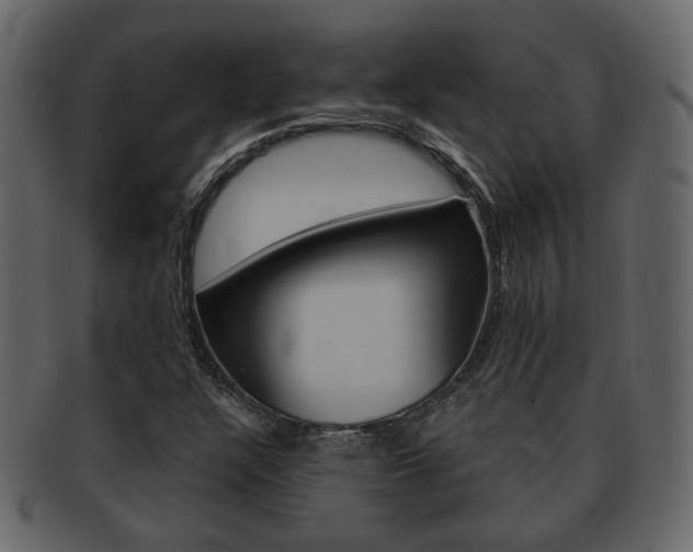 X0000093211304200709261418