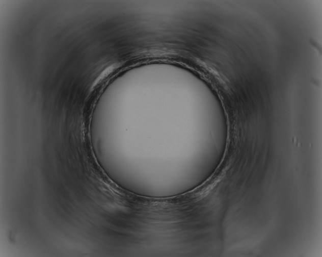 X0000093211306200709261418