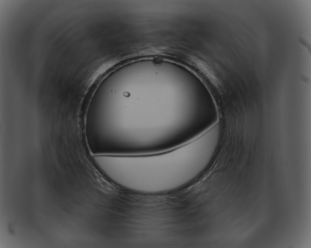 X0000093211308200709261418