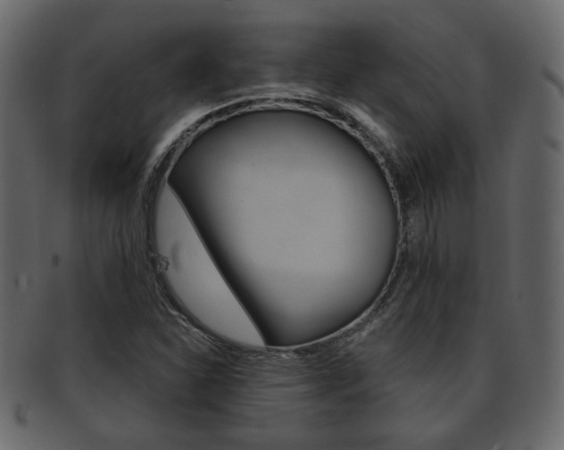 X0000093211310200709261418