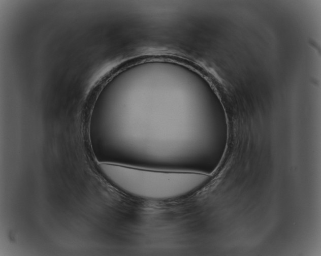 X0000093211311200709261418