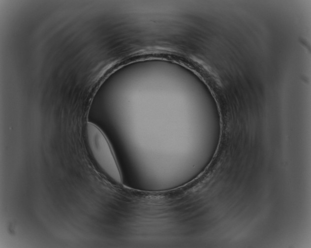 X0000093211313200709261418