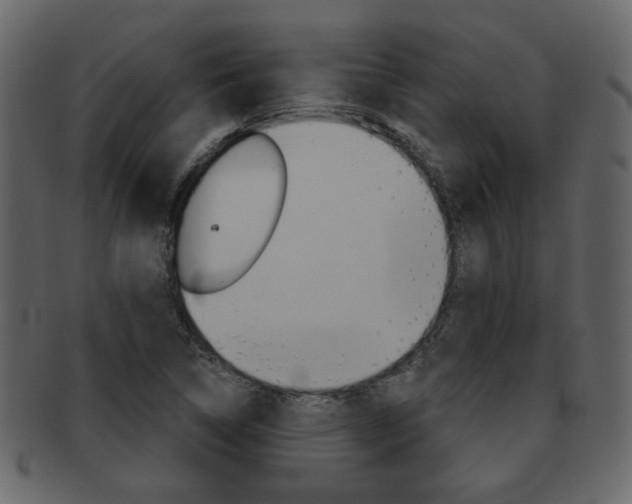 X0000093211314200709261418