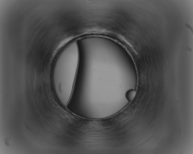 X0000093211315200709261418