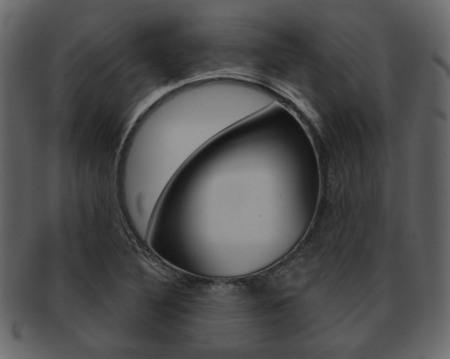 X0000093211316200709261418