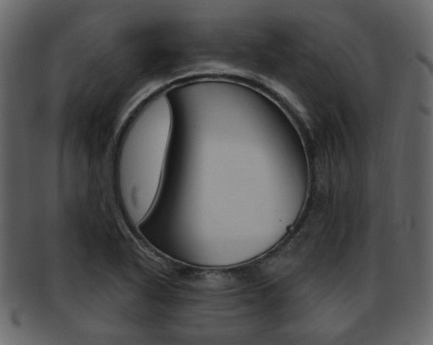 X0000093211318200709261418
