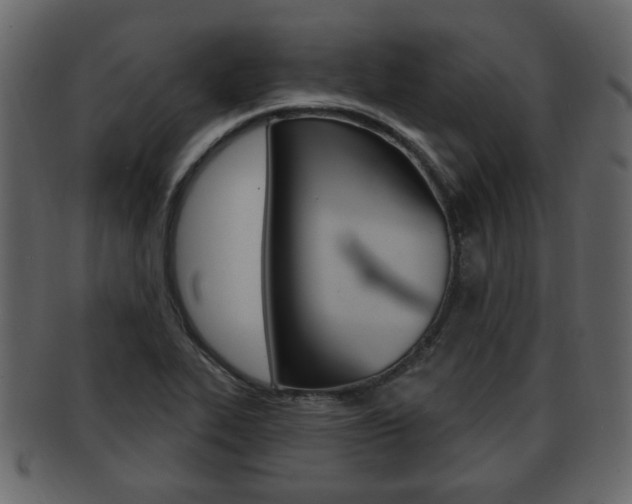X0000093211319200709261418