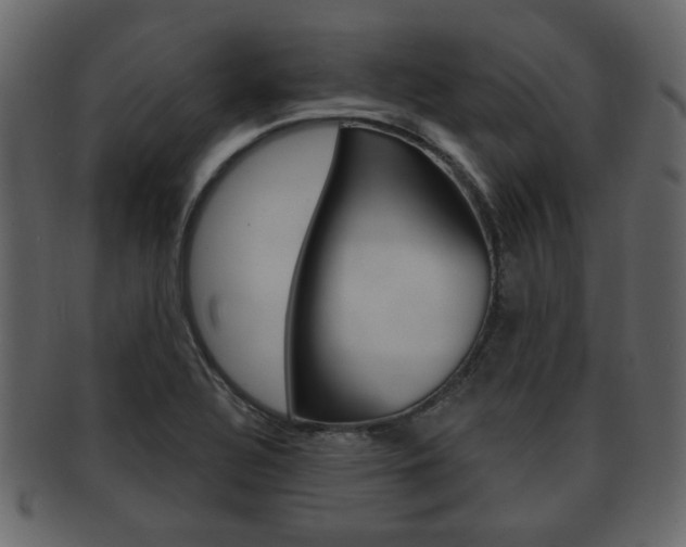 X0000093211320200709261418