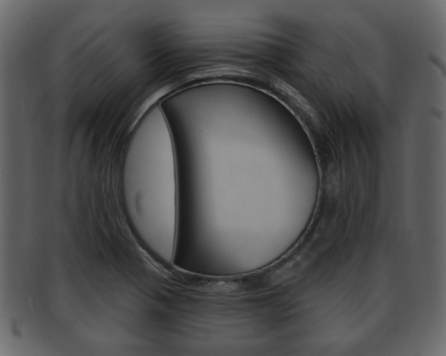 X0000093211321200709261418