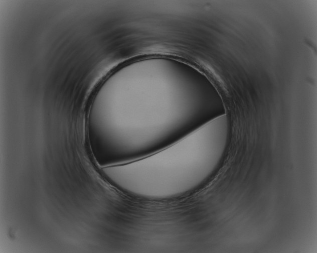 X0000093211323200709261418