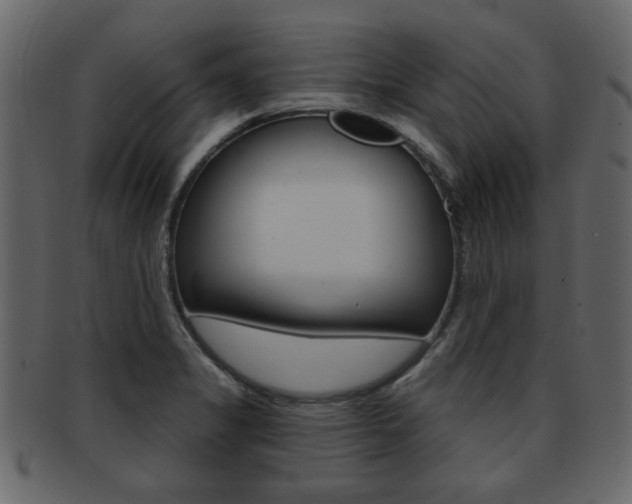 X0000093211325200709261418