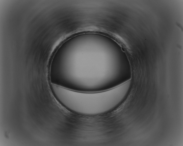 X0000093211326200709261418