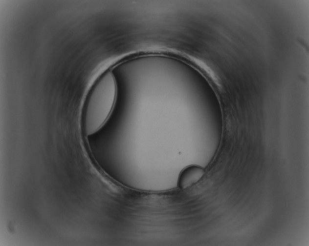 X0000093211327200709261418