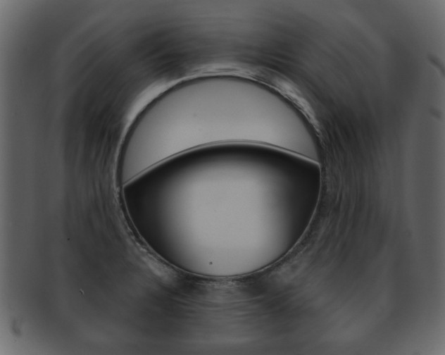 X0000093211328200709261418