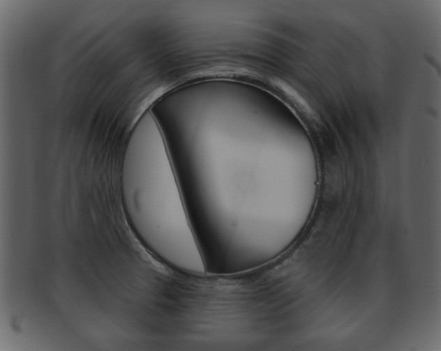 X0000093211329200709261418