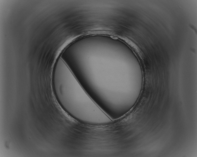 X0000093211333200709261418