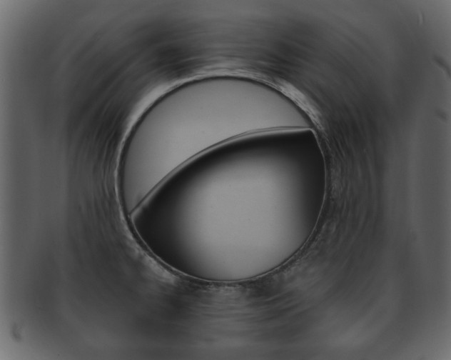 X0000093211334200709261418