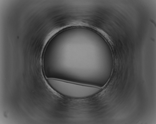 X0000093211335200709261418