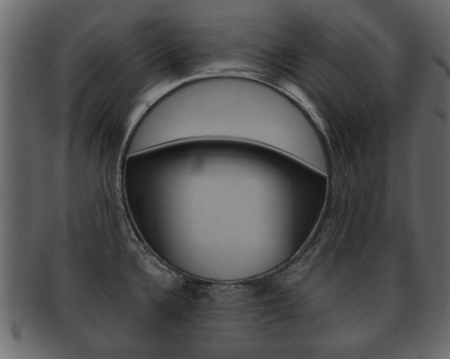X0000093211336200709261418