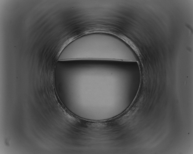 X0000093211337200709261418