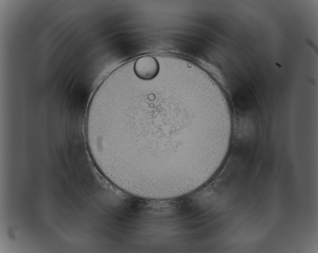 X0000093211338200709261418