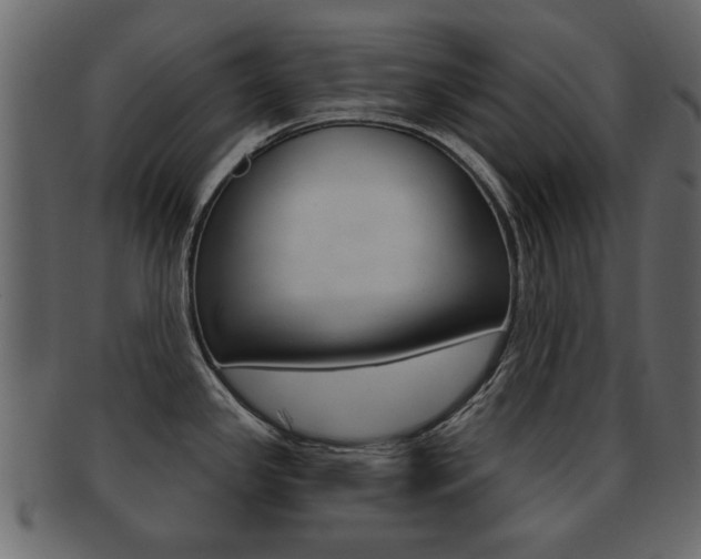 X0000093211341200709261418