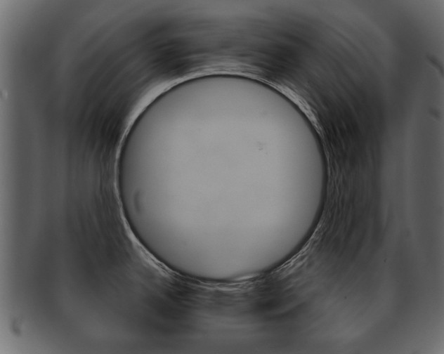 X0000093211342200709261418