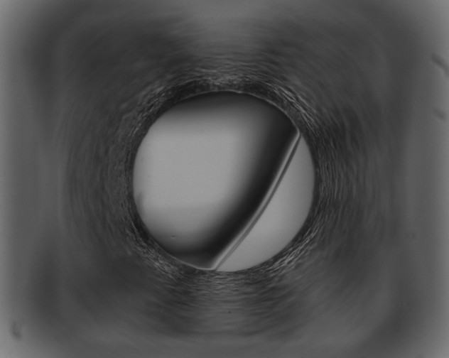 X0000093211345200709261418