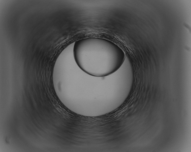 X0000093211348200709261417