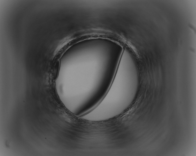 X0000093211352200709261417