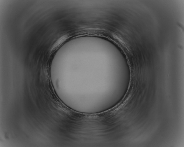 X0000093211354200709261417