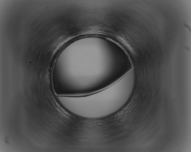 X0000093211356200709261417