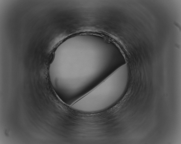 X0000093211359200709261417