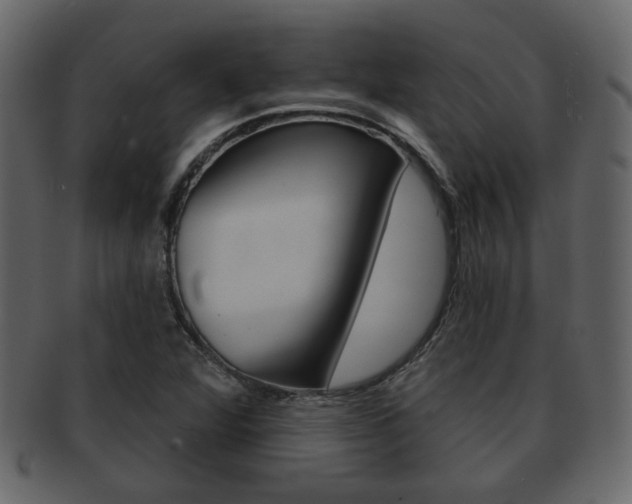 X0000093211360200709261417