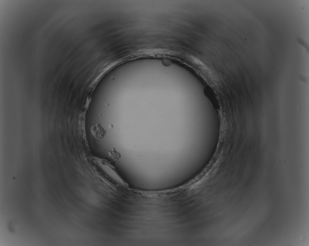 X0000093211361200709261417