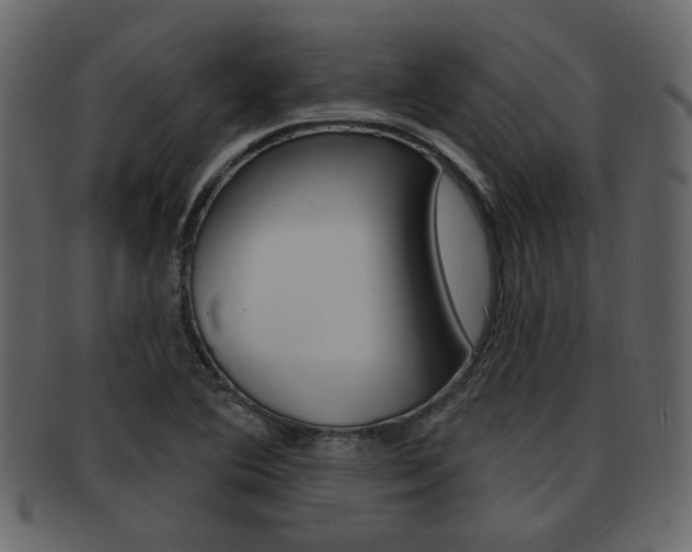 X0000093211364200709261417