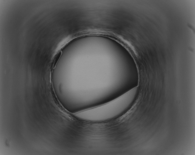 X0000093211365200709261417