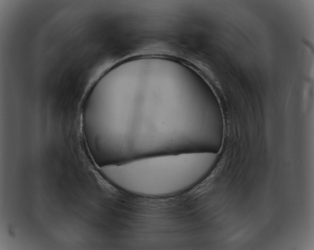X0000093211366200709261417