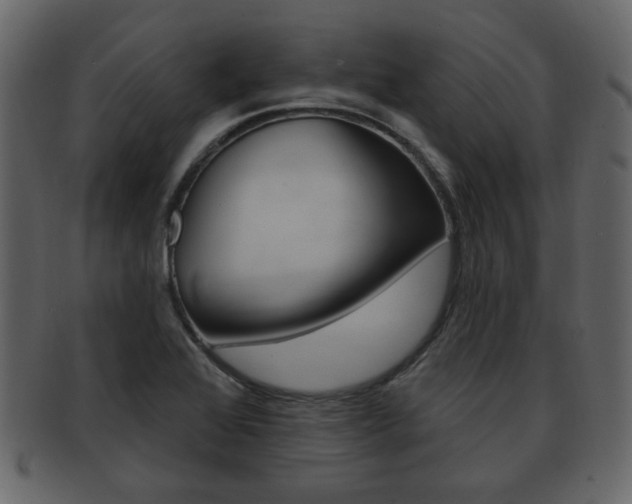 X0000093211368200709261417