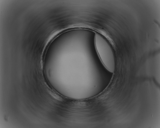 X0000093211372200709261417