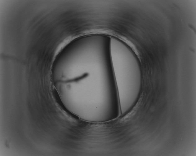 X0000093211373200709261417