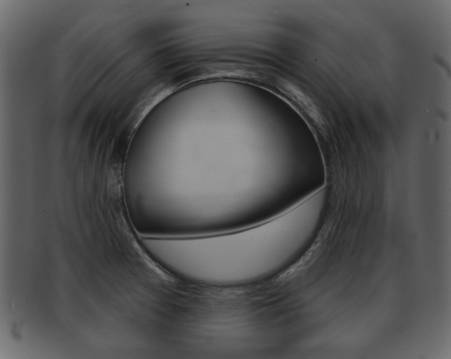 X0000093211377200709261417