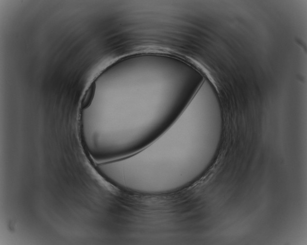 X0000093211379200709261417