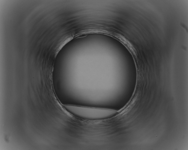 X0000093211385200709261417