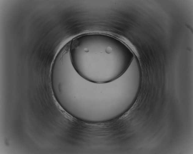 X0000093211388200709261417